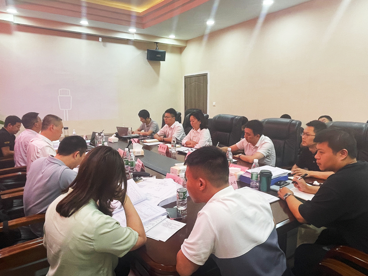广南ag手机官方官网召开2021年桥梁定期检测报告评审会1.JPG