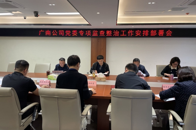 广南ag手机官方官网党委召开专项监查整治工作安排部署会.jpg