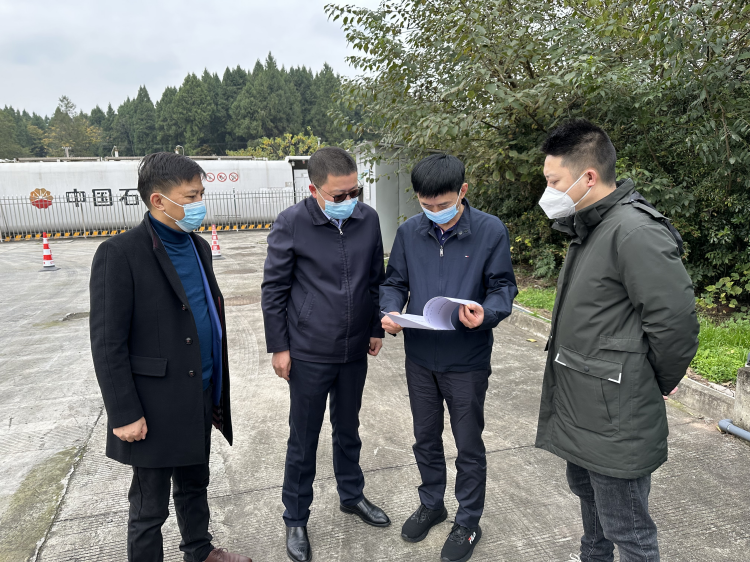 广南ag手机官方官网党委书记、董事长梁平带队开展生态环保专项检查1.png