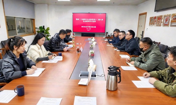 会议照片 (1).jpg