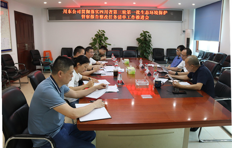 川东ag手机官方官网贯彻落实四川省第三轮第一批生态环境保护督察报告整改任务清单_副本.jpg