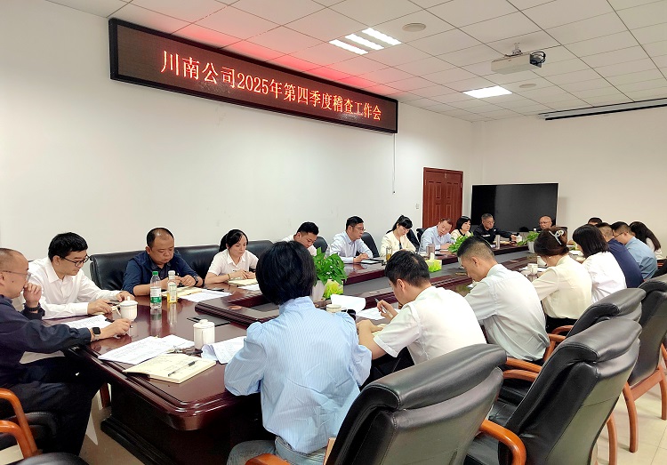 10.13 [网站]川南ag手机官方官网召开2025年第四季度稽查工作会.jpg
