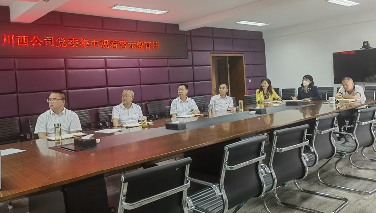 川西ag手机官方官网党委集中观看警示教育片.jpg