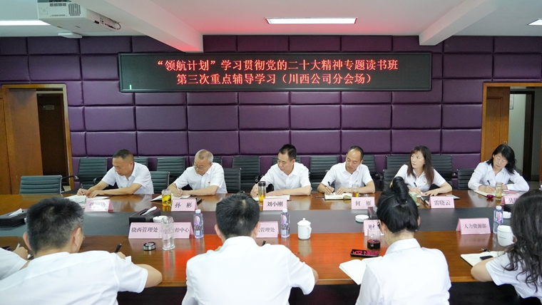 6-14川西ag手机官方官网党委组织参加“领航计划”学习贯彻党的二十大精神专题读书班第三次重点辅导学习 (2)_副本.jpg