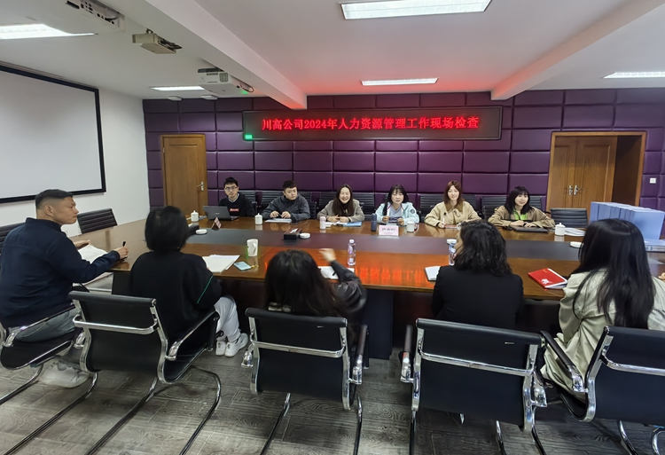 2025.3.24川西ag手机官方官网迎接川高ag手机官方官网2024年度人力资源管理相关工作现场检查 (3)_副本.jpg