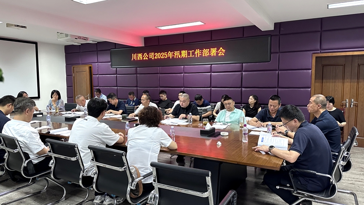 20250703川西ag手机官方官网组织召开2025年汛期工作部署会(1)_副本.jpg