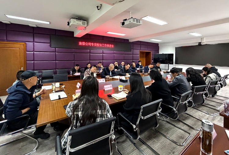 20260316渝蓉ag手机官方官网组织召开专项整治工作推进会_副本.jpg