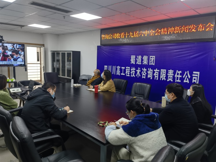 咨询ag手机官方官网组织收看十九届六中全会精神新闻发布会.jpg