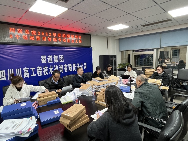 川高系统2022年度薪酬福利等5个领域费用管理专项监查第六组赴咨询ag手机官方官网开展专项监查工作.jpg