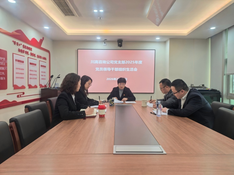 正文图-川高咨询ag手机官方官网党支部召开2025年度党员领导干部组织生活会.jpg