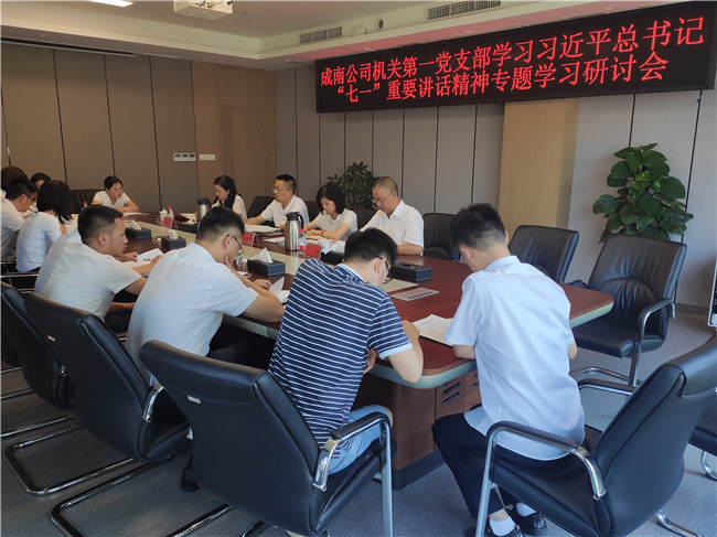 no398-成南ag手机官方官网机关第一党支部召开学习贯彻习近平总书记“七一”重要讲话精神专题研讨会.jpg