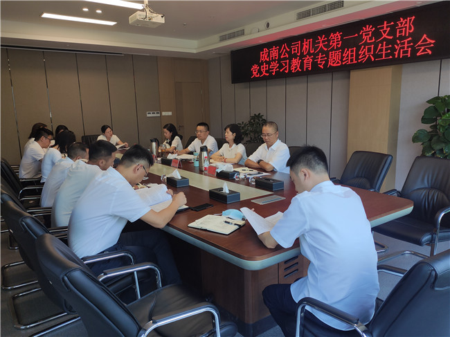 no399-成南ag手机官方官网机关第一党支部召开党史学习教育专题组织生活会.jpg