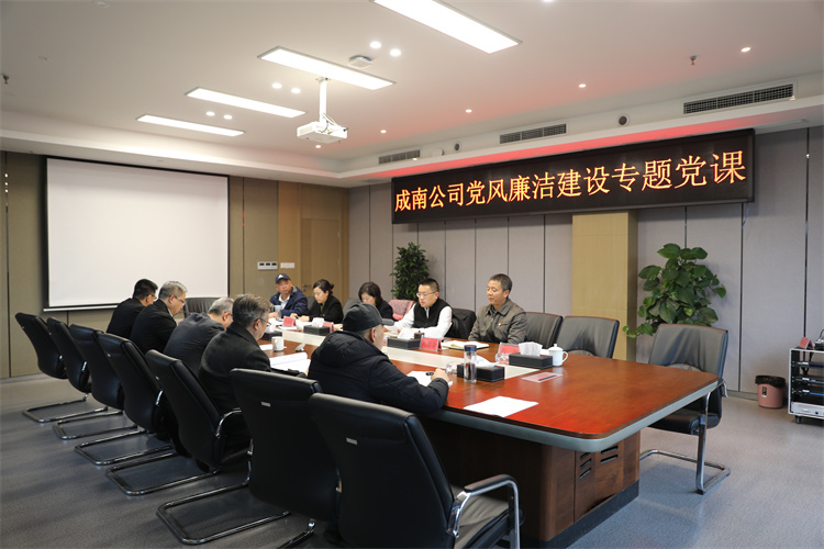 no603-成南ag手机官方官网组织开展廉洁教育专题党课（谢雨杉）.JPG