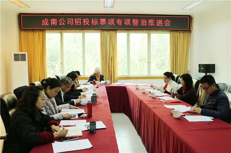 no647-成南ag手机官方官网召开招投标事项专项整治工作推进会（郑华）.JPG