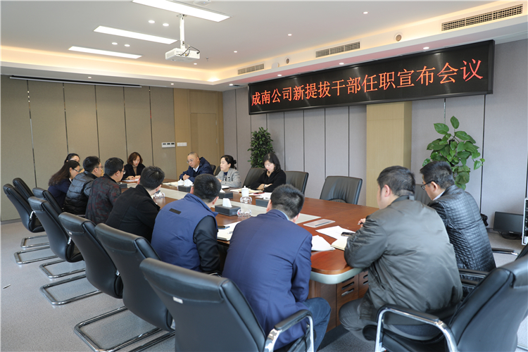no99-成南ag手机官方官网召开新提拔干部任职宣布会.jpg