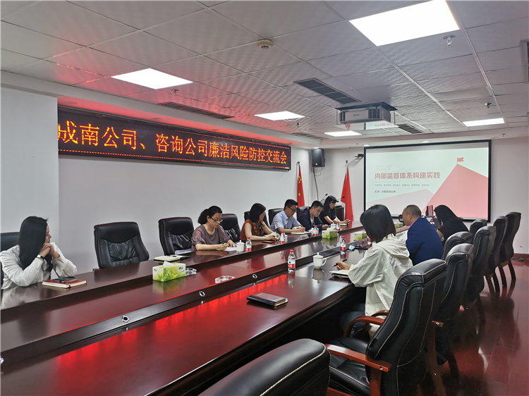 no269-成南ag手机官方官网与川高咨询ag手机官方官网开展内部监督体系构建工作交流学习（谢雨杉）.jpg