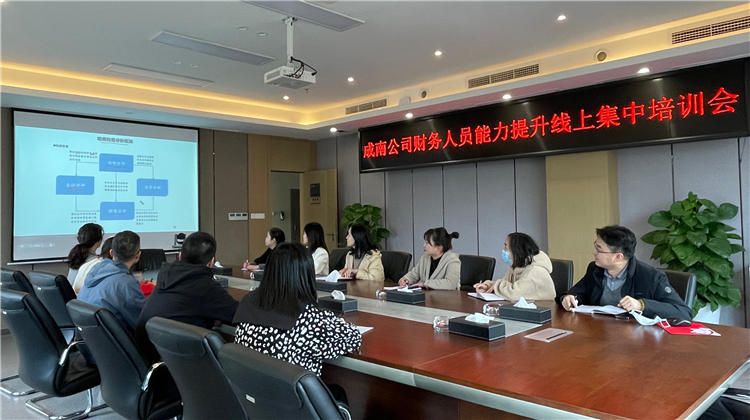 no533-成南ag手机官方官网开展财务人员能力提升线上集中学习培训.jpg