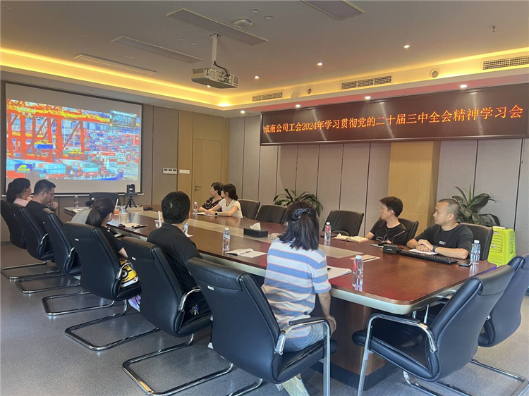 成南ag手机官方官网工会组织开展学习贯彻党的二十届三中全会精神学习会.jpg