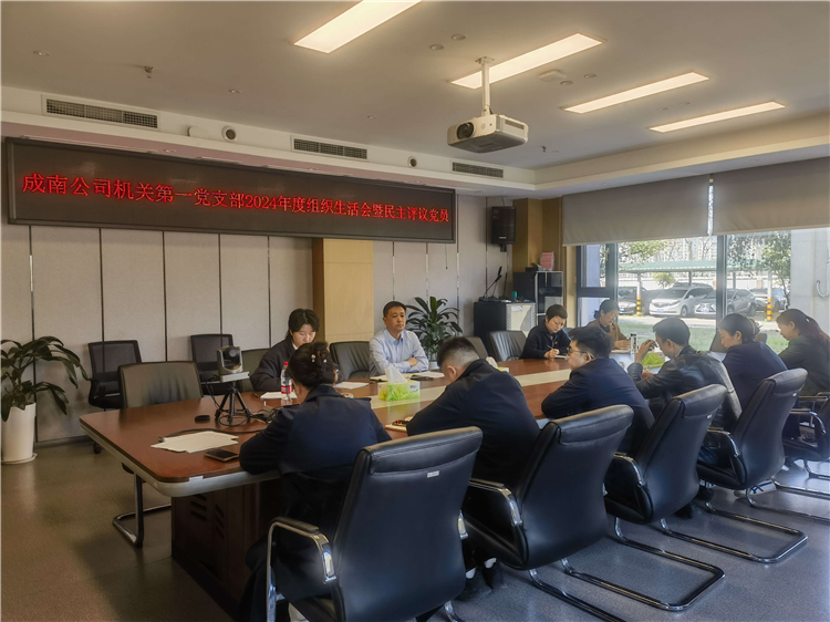 成南ag手机官方官网各党支部组织召开2024年度组织生活会暨民主评议党员大会.jpg
