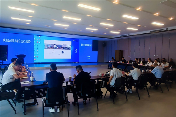 成南ag手机官方官网组织召开成南扩容机电工程建养融合技术培训会.jpg