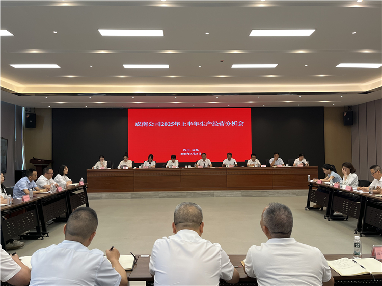 成南ag手机官方官网组织召开2025年上半年生产经营分析会.JPG