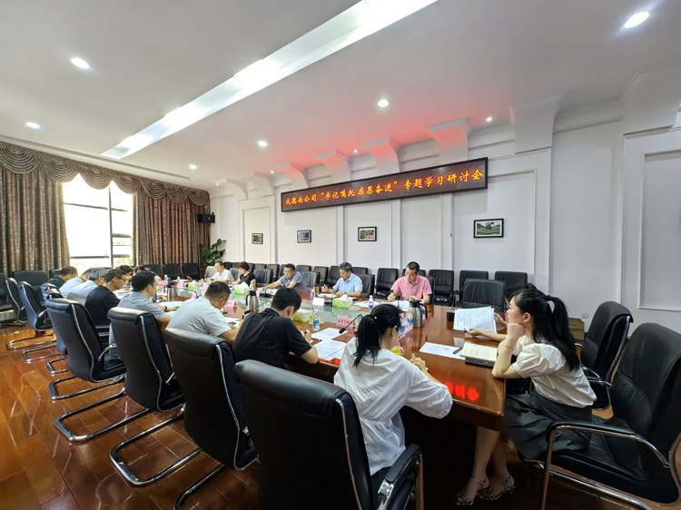 7.18+党群工作部+成德南ag手机官方官网召开“牢记嘱托、感恩奋进”专题学习研讨会_副本.jpg
