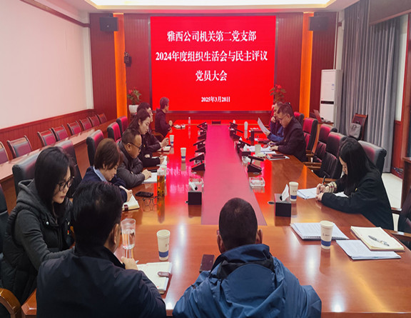20250328组织生活会.jpg